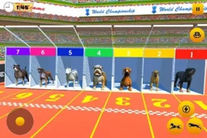 Cách Chơi Game Nhanh Đua Chó Tại 84Win Hiểu Rõ Tỷ Lệ Và Chiến Lược Chuẩn Xác
