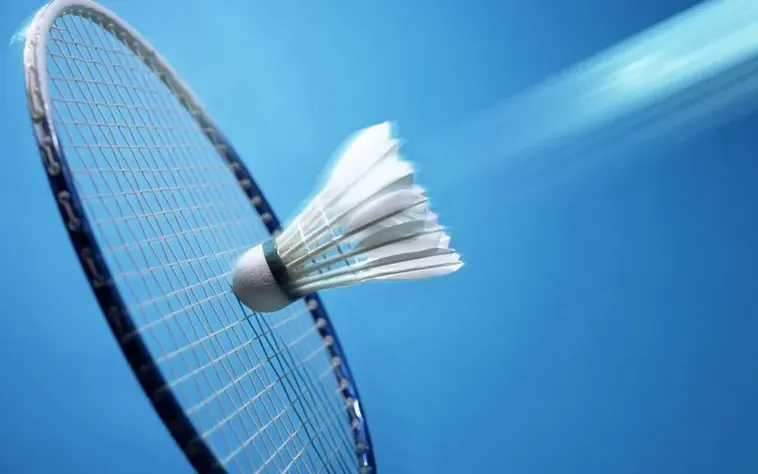 Kinh Nghiệm Thực Chiến Cách Chơi Cá Cược Cầu Lông Hiệu Quả Tại 84Win