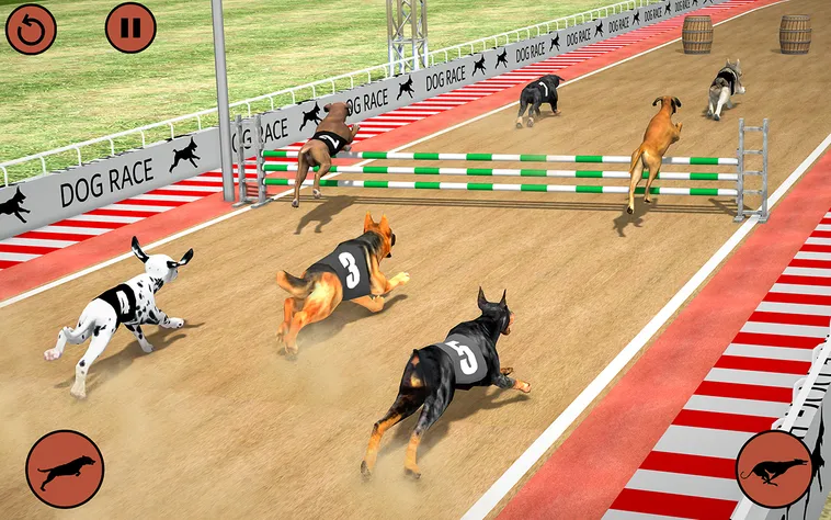Cách Chơi Game Nhanh Đua Chó Tại 84Win Hiểu Rõ Tỷ Lệ Và Chiến Lược Chuẩn Xác